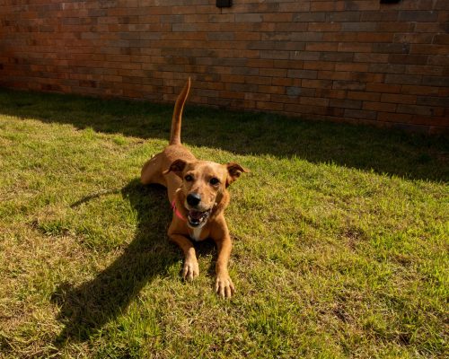 Apto à Venda no Brava 22