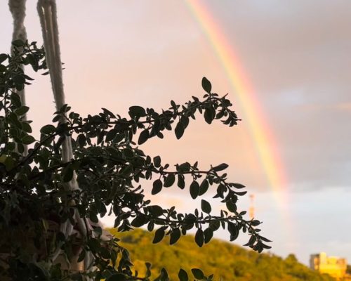 WhatsApp Image 2024-02-27 at 10.45.42