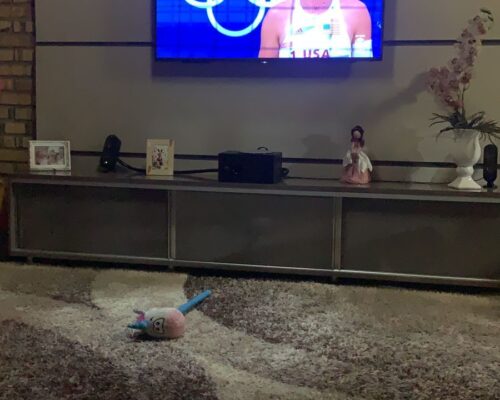 WhatsApp Image 2024-02-20 at 15.07.17 (1)