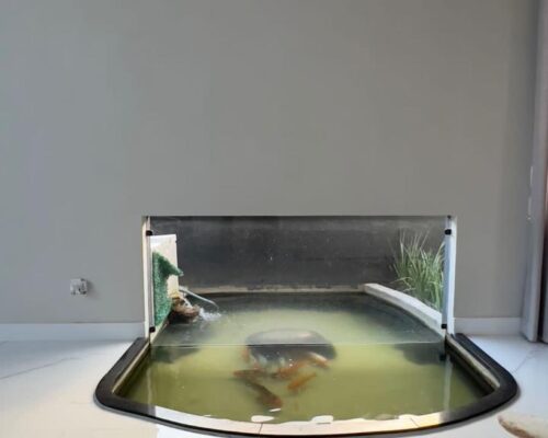 WhatsApp Image 2024-06-21 at 14.26.24 (2)