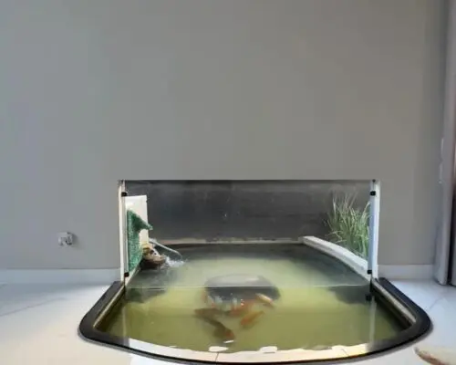 WhatsApp Image 2024-06-21 at 14.26.24 (2)