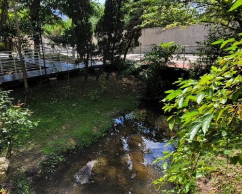 WhatsApp Image 2024-11-27 at 14.04.49 (4)