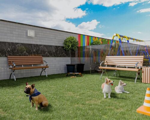 WhatsApp Image 2023-09-26 at 15.15.42 (3)