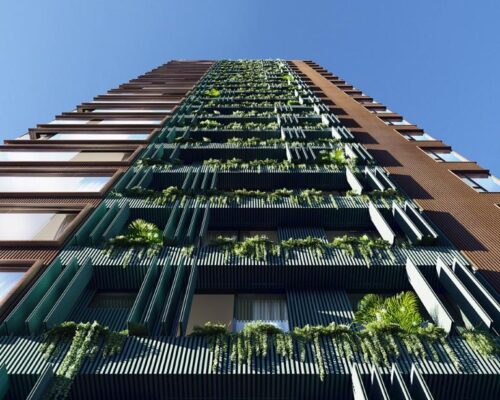 WhatsApp Image 2025-01-30 at 13.46.24 (1)