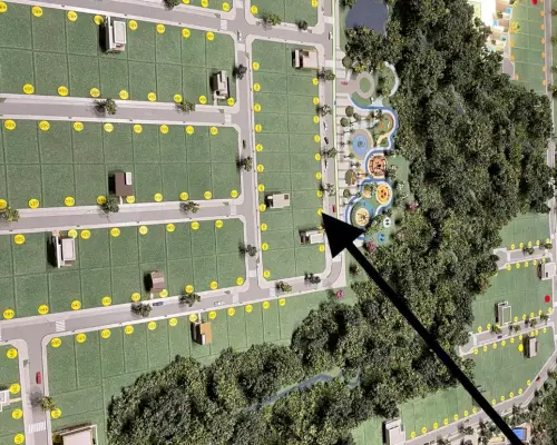 WhatsApp Image 2025-03-24 at 10.23.12