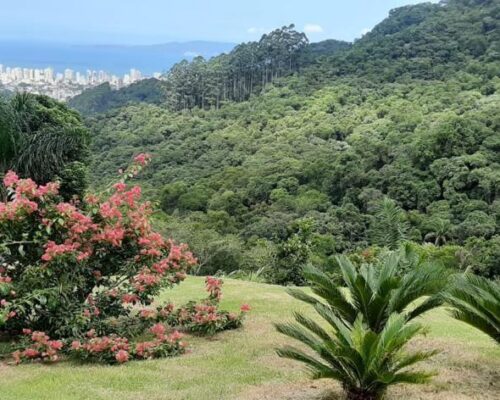 WhatsApp Image 2025-04-04 at 17.49.18 (5)