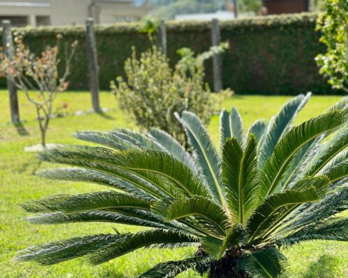 WhatsApp Image 2025-04-22 at 13.56.01 (4)