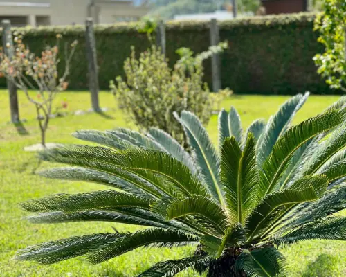 WhatsApp Image 2025-04-22 at 13.56.01 (4)